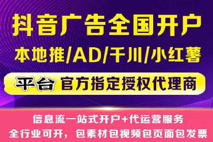 百度竞价广告投放策略：案例分析及效果评估